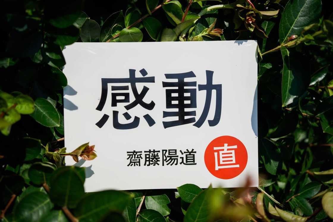 齋藤陽道(さいとう・はるみち)