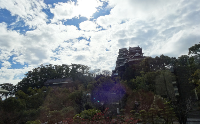 dsc06846.jpg