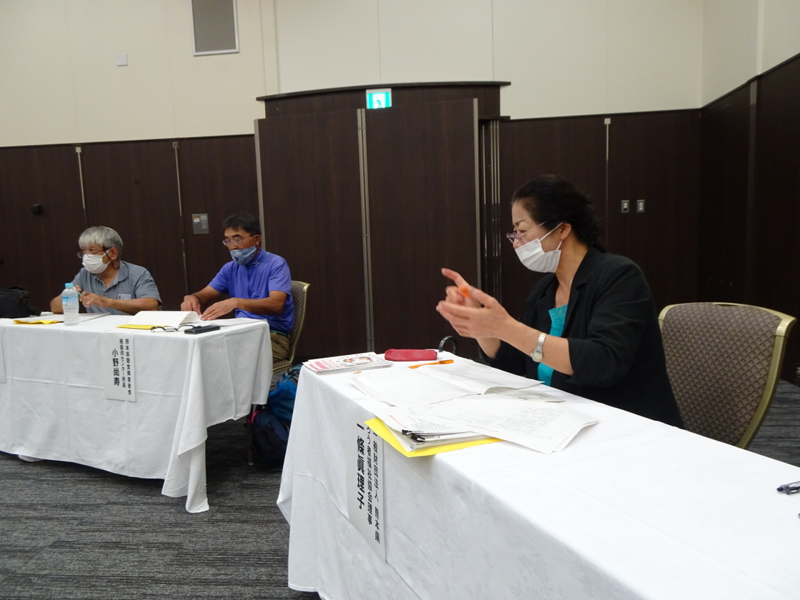 一條眞理子検討委員会委員の意見